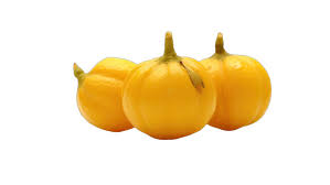 Image result for Ximenia