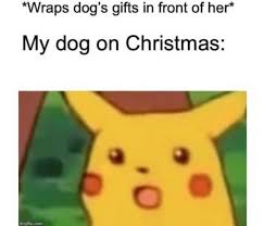 43 Hilarious Photos And Stories That Confirm World Is Still Great Pikachu Memes Meme Template Memes