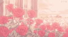 end please take care of me. Anime Aesthetic Gifs Tenor