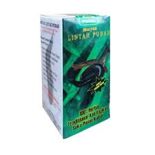 Hasil gambar untuk kata kunci minyak lintah