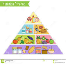 Isolated Infographic Chart Of A Healthy Balanced Nutrition