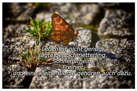 Leben Ist Nicht Genug Sagte Der Schmetterling Sonnenschein Freiheit Kleine Blumen Schone Zitate Spruche Furs Leben