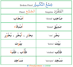 Camels have long been domesticated and, as livestock, they provide food (milk and meat) and textiles (fiber and felt from hair). Broken Plural In Arabic Arabic Language Blog
