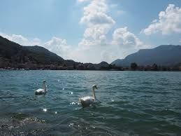 Venez donc découvrir les plus beaux lacs en suisse, les plages aux paysages verdoyants et les eaux pures des alpes ! Notre Semaine Au Lac De Lugano