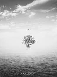 Check spelling or type a new query. Exo Dikonfirmasi Bakal Rilis Lagu Bird Untuk Rayakan 4 Tahun Debut Di Jepang