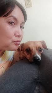 Perros Extraviados en Colima, Colima, Mexico