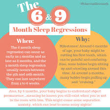 Pricing 9 Month Sleep Regression Regression Sleep