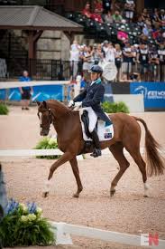 We did not find results for: On Weg Goals And Giving Back A Conversation With Andrew Hoy Eventing Nation Three Day Eventing News Results Videos And Commentary