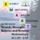 SMART Stretch Strength Balance and Breathe event image