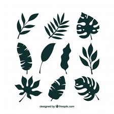 Prepare the notifications so that you will receive them when they arrive. Free Tropical Leaves Vectors 52 000 Images In Ai Eps Format