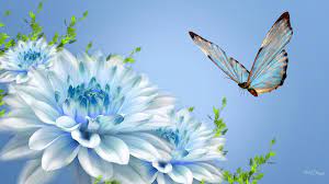 Nature beautiful pictures of flowers free download. Hd Wallpapers Nature Flowers Group 81