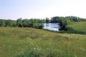 Menu & reservations make reservations. Fort Pierre National Grassland Wikipedia