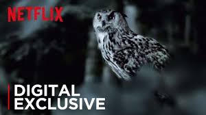 More so than any of the more recent entries, the staircase really lets the camera linger on its subjects: The Staircase The Owl Theory Netflix Youtube