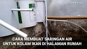 Berikut ini yang perlu di kerjakan secara rutin Cara Membuat Saringan Kolam Ikan Jadi Bersih Dan Jernih Youtube