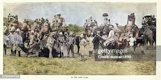 675 Indian Pig Stock Photos, High-Res ...