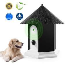 Get your dog out more often. How To Stop My Dog Barking When Out Walking Patchpuppy Com