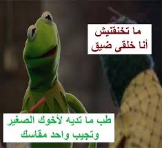 Pin On Kermit الضفدع كامل