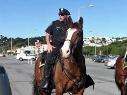Surfing, diving, boating & fishing the beaches and blue water of san diego and baja california. Ocean Beach San Francisco A Local S Guide To The Beach