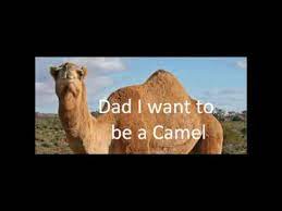 # camels, followed by 468 people on pinterest. Dad I Want To Be A Camel Youtube