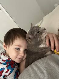 Free washer needs new belt in Richmond