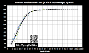 Standard Poodle Growth Chart Update Poodle Forum