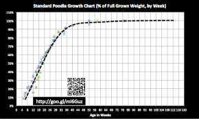 standard poodle puppy weight growth chart best picture of