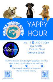 Blue Grotto Is The Site Of This Month S Hhs Yappy Hour Blue Grotto Is Located At 125 Basin St In Daytona Shelter Dogs Adoption Dog Fundraiser Humane Society