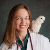 40+ "Michelle Kovacs" profiles