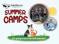 Fun & Fur Camp (3rd-5th Grades)