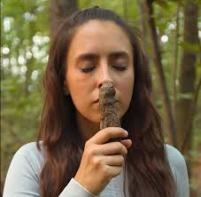 Survival Hacks for Thriving in the Deep Jungle