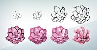 Fiori Facili Da Disegnare Fiore Di Loto Passaggi Per Fare Un Abbozzo Di Fiore Tutorial Per Disegnare Fiori Disegni Fiore Di Loto Disegno Realistico