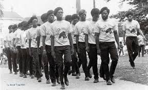 Image result for black panthers oakland