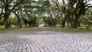 Hotels near pasir ris park, singapore. Pasir Ris Park A Guide To Explore Singapore S Best Kept Secret