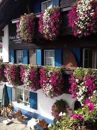 Herbststimmung Im Tannheimer Tal Hotel Edelweiss In Gran Tannheimer Tal Austria Hotel Edelweiss Garten Zimmer Madchen