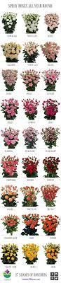 There are over 400,000 types of flowering plants, so based on what color the daisy is, the flower can take on another meaning. Different Types Of Flowers With Names Meanings And Types Of Flowers With Pictures Wedding Flowers Pink Roses Types Of Flowers Pink Wedding Flowers
