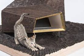 Hal penting yang harus diperhatikan sebagai resep membuat makanan kucing persia buatan sendiri adalah kandungan gizi. Lucu Banget 13 Inspirasi Bikin Kandang Kucing Sendiri Di Rumah