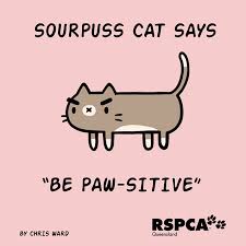Okay maybe not but, funny cat puns have been getting shared around the office for years. Totally Relatable Cat Puns Funny Rspca Queensland