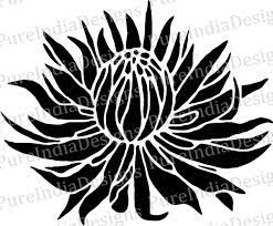 Pin On Dermassi House