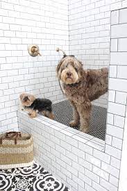The Laundry Dog Room Dark Green Cabinets Layered On Classic Black White Design The House Of Silver Lining Dog Rooms Dog Shower Dog Bath