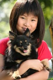 589 Old Dog Pat Stock Photos