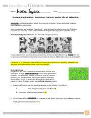 Gizmo evolution natural and artificial selection answer key. Sci7b Unit 3 Selection Port Wkst 1 Name Date Student Exploration Evolution Natural And Artificial Selection Vocabulary Artificial Selection Course Hero