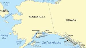 Alerte Au Tsunami En Alaska Apres Un Seisme De Magnitude 7 5 Defimedia
