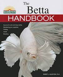How To Breed Betta Fish Expert Step By Step Guide