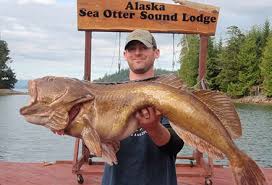 Galleries Alaska S Fly In Fishing Lodge