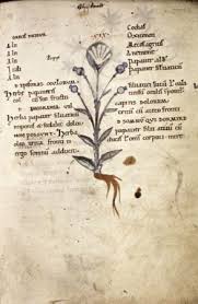 painful origins of modern anesthesia ...