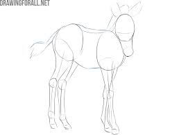 Start by outlining the head and neck. How To Draw A Baby Zebra