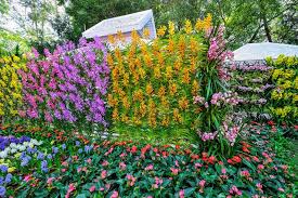 If you are looking for beauty and functionality, then this living wall is the solution. 55 Best Vertical Garden Ideas Planters Diy Kits Designing Idea