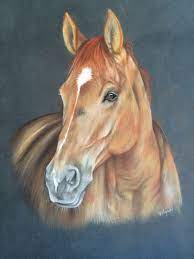 pastels chevaux lespastelsdevir tete de cheval dessin aquarelle peinture coloriage pelle sur la page