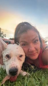 Arthritis in a pet's hip and knee