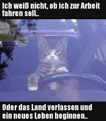 Pin Von Dorthe Auf Tiere Montag Humor Verdrehter Humor Humor Arbeit